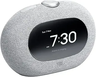 Портативна колонка JBL Horizon 3 сірий