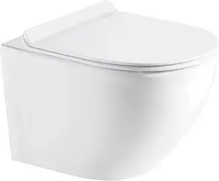 Унітаз Oltens Purerim Hamnes 42513000