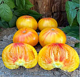 Насіння томату Техас (Texas) 15 шт, фото 2