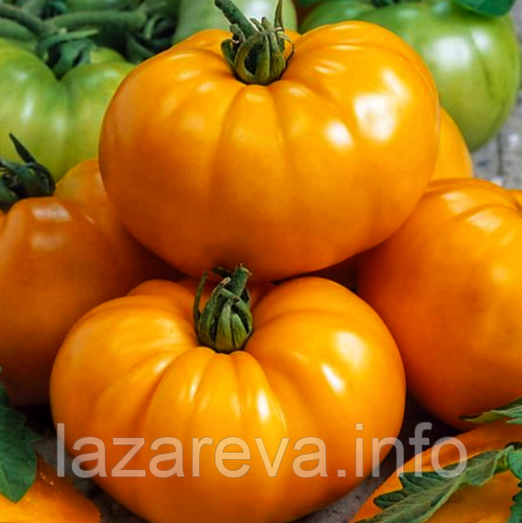 Насіння томату Техас (Texas) 15 шт, фото 1