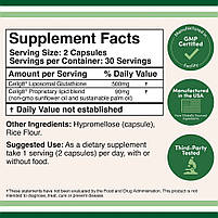 Double Wood Liposomal Glutathione/Ліпосомальний глутатіон 60 капсул. BX116, фото 2