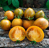 Насіння томату Гном Сяйво Вавілону (Dwarf Babylon Glow) 10 шт, фото 2