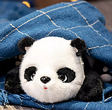 Панда милашка м'яка іграшка 25 см, фото 3