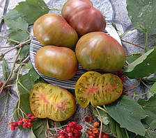 Насіння томату Гном Багряний захід сонця (Dwarf Crimson Sunset) 10 шт