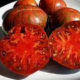 Насіння томату Гном Карлик Стринги (The Thong Dwarf) 10 шт, фото 3