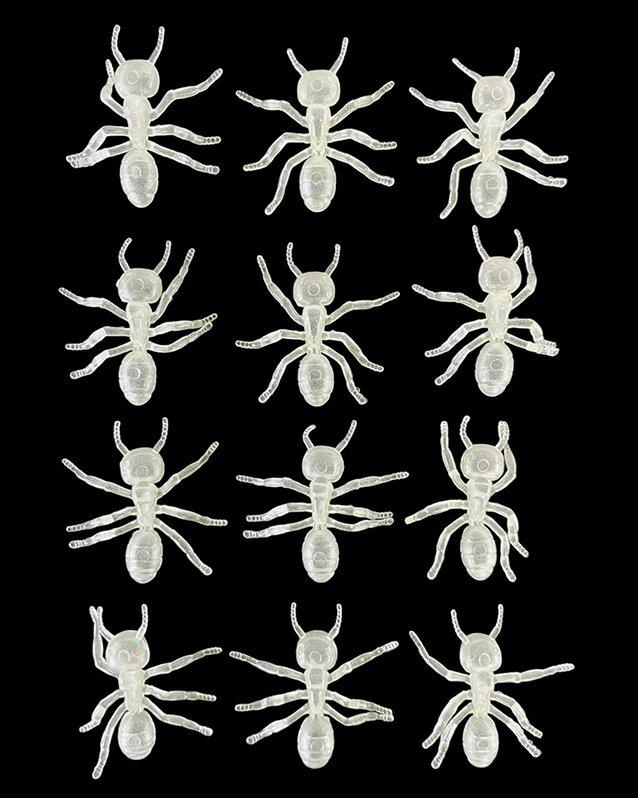 Набір мурах прозорих 12 од, фото 1