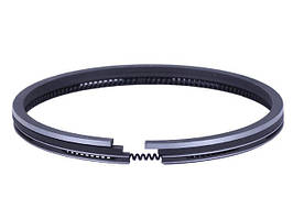 Кільця 92,00 мм STD TT AGRO MOTO на дизельний двигун 192D, к-т на 1 поршень генератора GN 7 KW