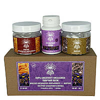 Курс Creativity Unleashed Творчий потік (1 місяць) Лісовик