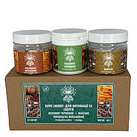 Курс Energy Для мотивації та енергії (1 місяць) Лісовик