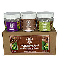 Курс Harmony Love Баланс гормонів та лібідо (1 місяць) Лісовик