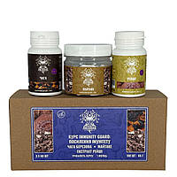 Курс Immunity Guard Посилення імунітету (1 місяць) Лісовик