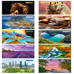 Календар настінний квартальний 2026 р ВМ.2105 ( 3 пружини, 298х648 мм) (20)