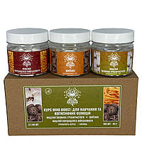 Курс Mind Boost v2 Для навчання та когнітивних функцій (1 місяць) Лісовик