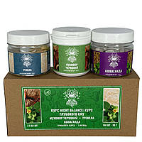 Курс Night Balance Курс глибокого сну (1 місяць) Лісовик