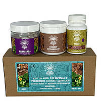 Курс Zen Mood Для боротьби з тривожністю апатією та депресією (1 місяць) Лісовик