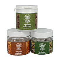 Курс Детокс перезавантаження тіла та розуму (1 місяць) Лісовик