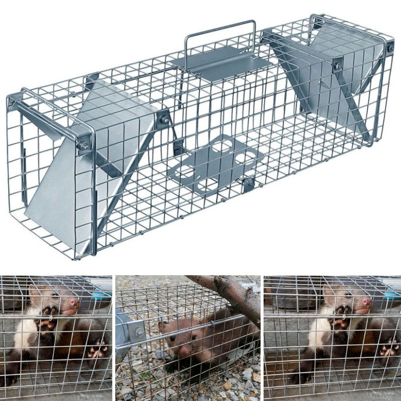 Живоловка John Green 65×21×20 см, пастка на куниць, ласок, щурів та котів, оцинкована сталь