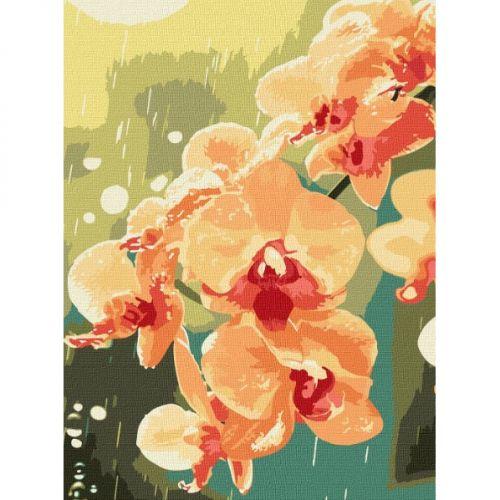 Картина за номерами "Орхідея в краплях" 30x40см [tsi278974-TSI], фото 1