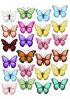 Вафельна картинка "Метелики на торт" /ВК-0076/ - А4