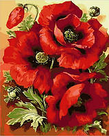 Картина за номерами Mariposa Чудові маки (MR-Q1633) 40 х 50 см