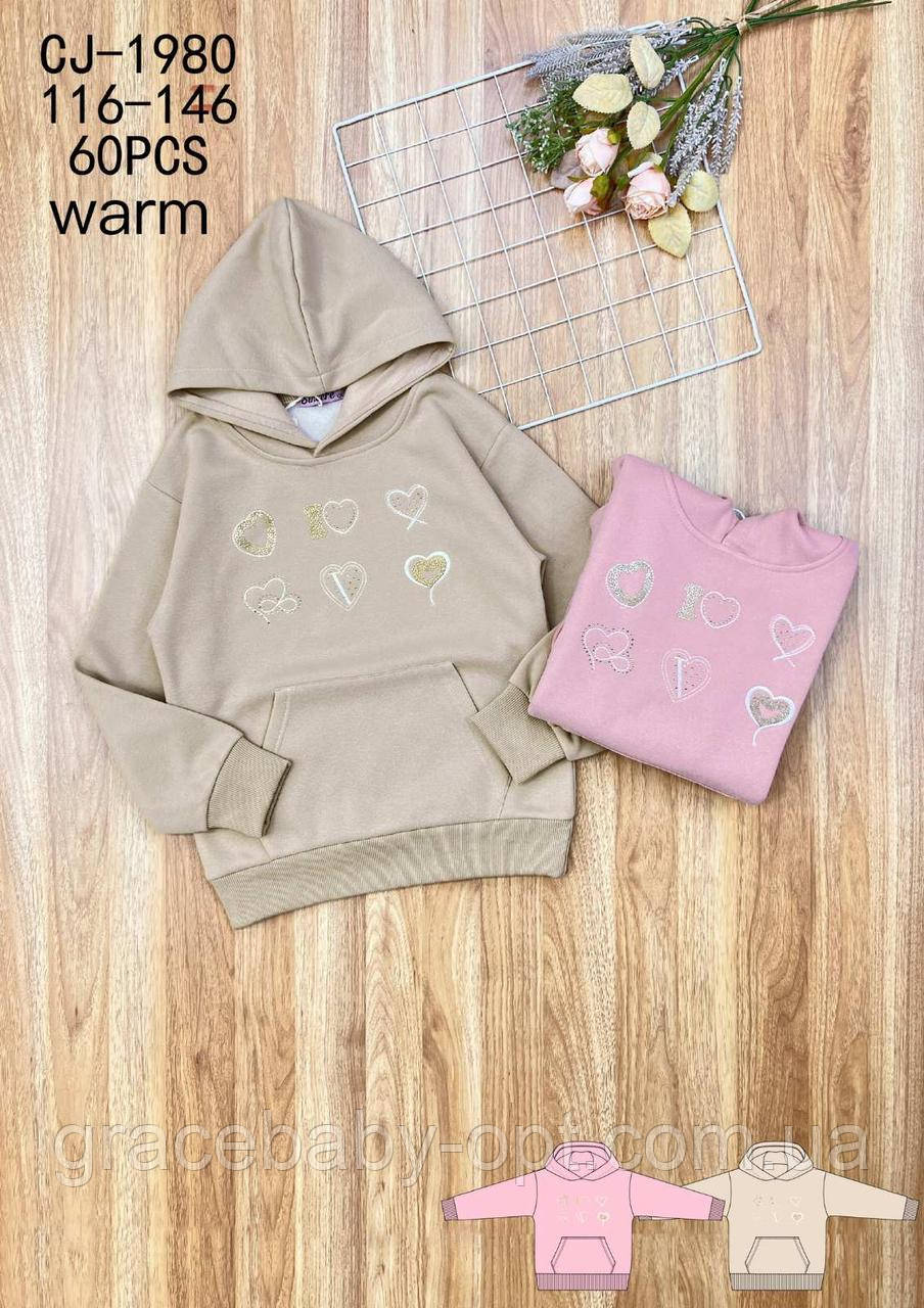 Толстовка утеплена для дівчаток оптом, Sincere, 116-146 pp.,  № CJ-1980, фото 1