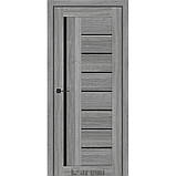 Міжкімнатні двері Дарумі Floriana-01, фото 2