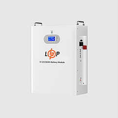Акумулятор LP LiFePO4 51,2V - 230 Ah (11776Wh) (Smart BMS 200A) с LCD AB RS485/CAN