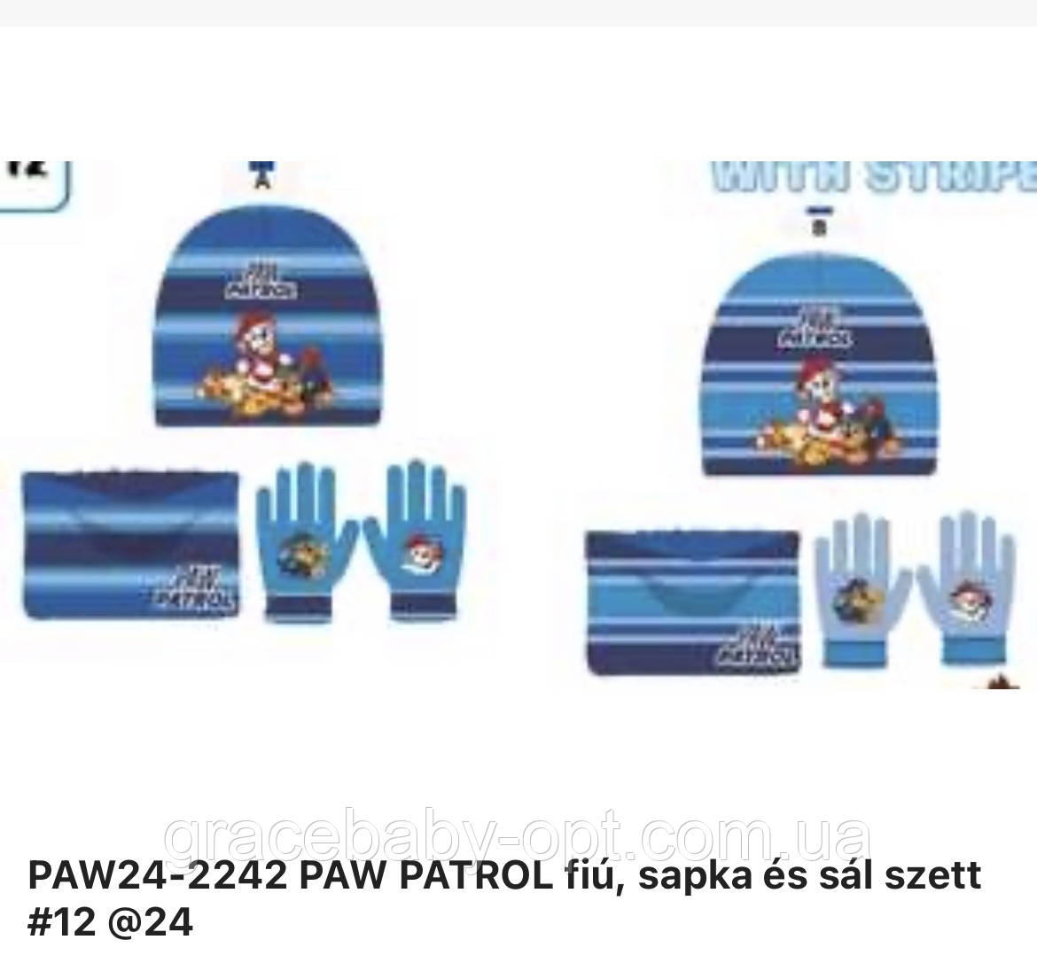 Набір для хлопчика оптом, Disney, № PAW24-2242, фото 1