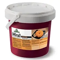 Міраль дзеркальна глазур Маракуя Master Martini Італія 1 кг