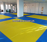 Мін. замовлення від 5 шт! СИНЬО-ЖОВТІ татамі 26мм, 100*100*2.6 см (1шт) | будо мат ластівчин хвіст, фото 2