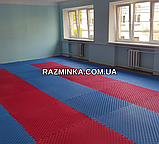 Мін. замовлення від 5 шт! ЧЕРВОНО-СИНІ татамі 30мм, 100*100*3 см (1шт) | мати ластівчин хвіст, фото 6