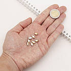 Пришивні Стрази, Скло Гірський Кришталь, Основа Латунь, Кінський око, Колір: Жовтий, Розмір: Довжина 10 мм, фото 3