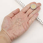 Швензи Неіржавка Сталь, Французька застібка, Розмір: 25х10.5х2.5мм, Пін: 0.7мм, 10 шт, фото 3