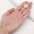 Підвіска Латунь, Мушля Каурі, Колір: Платина, Розмір: 12.5х6х2мм, Отвір 3 мм, 1 шт, фото 4