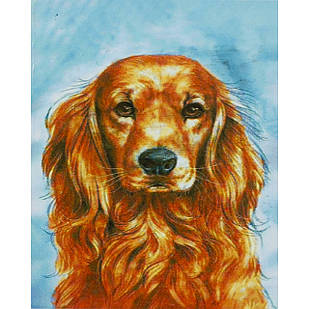 Алмазна мозаїка за номерами Спанняль у рулоні, стрази. 30*40 см, 1 шт