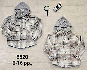 Сорочка утеплена на хлопчика оптом, Buddy boy, 8-16 років, № 8520