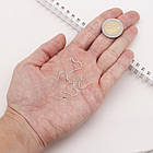 Швензи Гачок, Латунь, Колір: Платина, Розмір: 17мм, 50 шт, фото 3