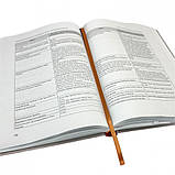 Микола Хавронюк - Дисциплінарна відповідальність за корупційні та пов'язані з корупцією правопорушення, фото 3