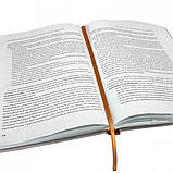 Микола Хавронюк - Дисциплінарна відповідальність за корупційні та пов'язані з корупцією правопорушення, фото 4