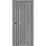 Міжкімнатні двері Plato Line TPL-05 Darumi, фото 3