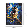Алмазна мозайка 30*40 "Нічна сова з АВ стразами" No8160, Ідейка, фото 2
