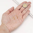 Тримачі для Підвісок, Неіржавка сталь, Покриття Золото 18К, Розмір: 6x3x2.2 мм, Внутр. 5.5x2.5мм, 20 шт, фото 5