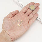 Підвіски Латунь, Аркуш, Покриття Півосто 18К, Розмір: 10.5х4.5х1мм, Отвори 1.2 мм, 10 шт, фото 4