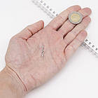 Застібка Гачок, Латунь, Стійке Покриття платиною, Розмір: 13.5х4.5х3мм, Гачок 13.5х5.5х3мм, 1 шт, фото 2