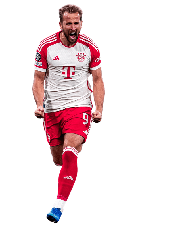 Ростова фігура Гаррі Кейн Футбол 180 см, картон