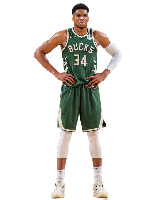 Ростова фігура Янніс Адетокумбо (Мілуокі Бакс) Баскетбол 180 см, картон