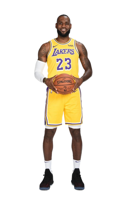Ростова фігура ЛеБрон Джеймс (Лос-Анджелес Лейкерс) Баскетбол 180 см, картон