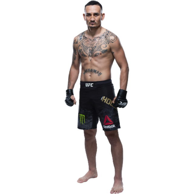 Ростова фігура Макс Холлоуей UFC 180 см, картон