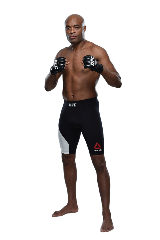 Ростова фігура Андерсон Сільва UFC 180 см, картон