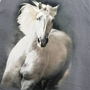 Панель сіра з білим конем